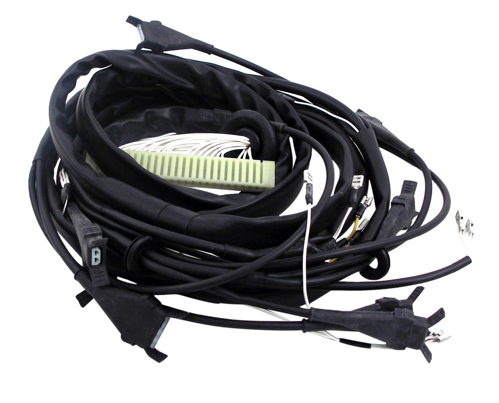 Kabelboom 140 injectiesysteem van ECU--injectoren 1971