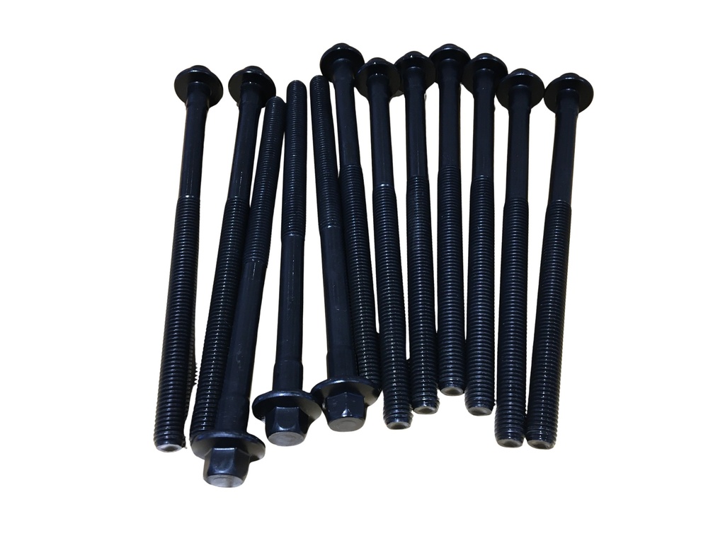 Cilinderkopbout Set 12 M12x197 D5204Tx D5244Tx 12 Delig D5 Volvo C30 - S40 - V50 - C70 - S60 - V60 - XC60 - S80 - V70 - XC70 - V40 2011-