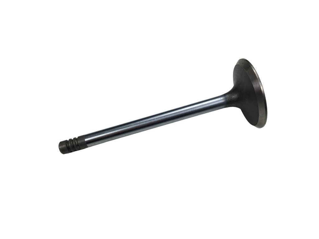 Klep inlaat B20+B30 42mm 140, 145, 164, Amazon 121, Amazon 122 S, Amazon 220, C202, C303, P 1800, P 1800 E, P 1800 ES