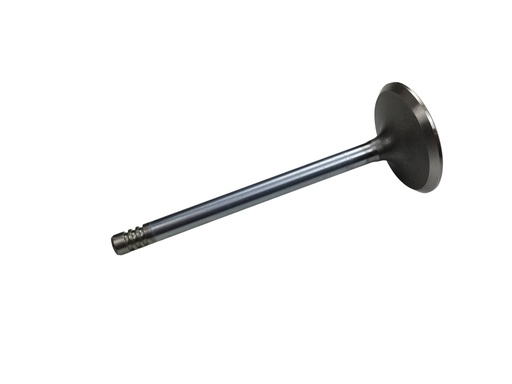 [419766] Klep inlaat B20+B30 44mm 140, 145, 164, Amazon C202, C303, P1800