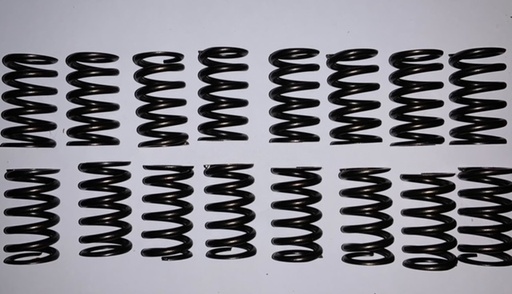 [418737P] Klep veer B18+B20+B30  enkele veer performance set 8 stuks max 5000 tpm C202, C303